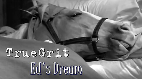 Eds Dream / a True Grit story / Directors cut