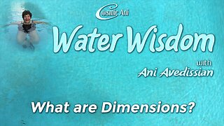 What are Dimensions?