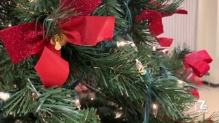 The 20th Annual Tree of Life Ceremony brings another year of comforting grieving families