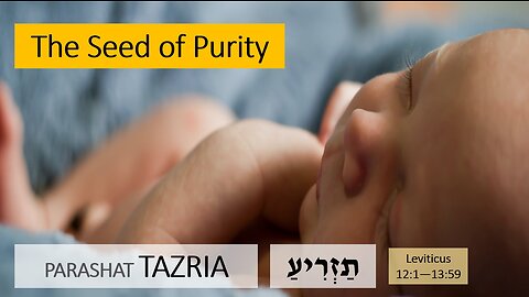 Parashat Tazria: Leviticus 12:1—13:59 – The Seed of Purity