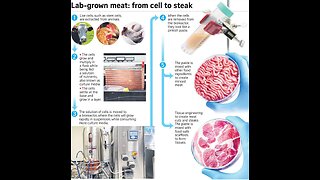FDA Admits GMO Lab Grown Meat From Stem Cells & Bioreactors for "Generations" (NurembergTrials.net)