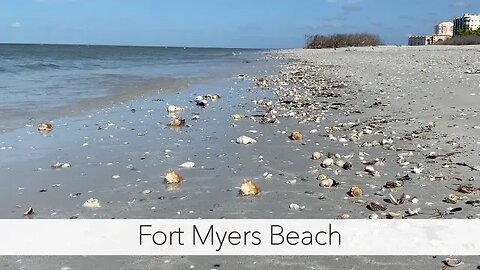 Post Storm Shelling. Fort Myers Beach after Hurricane Idalia had Tons of Seashells!