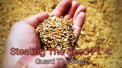 Stealing The Seed Pt. 4: Guard The Seed