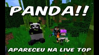 Live de Minecraft Alimentando Panda ! Lindo !! #vempralive #eoroper #jogandocommeupai