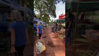 Feira Asa Norte, 411 Norte | Brasília