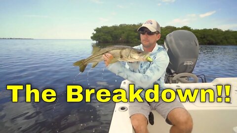 The Breakdown -Topwater Snook Fishing Mangrove Points