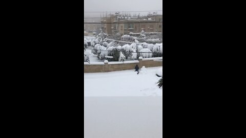 Amman Huge snow storm 2022