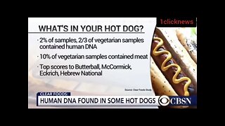 HOT DOGS CONTAINS HUMAN DNA🌭🩸VEGGIE DOGS CONTAINS MEAT🥩⚠️💫