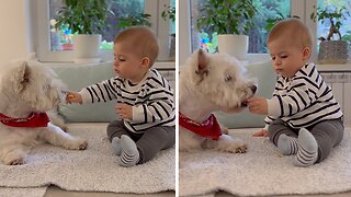 Baby Shares Snack With Doggy Best Friend