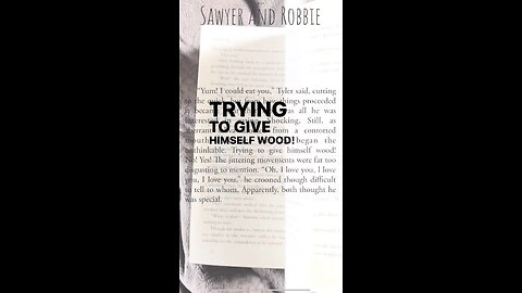 Finding wood in Sawyer And Robbie