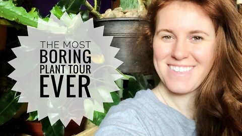 2021 HOUSE PLANT TOUR. A CANADIAN HOUSEPLANT TOUR | Gardening in Canada