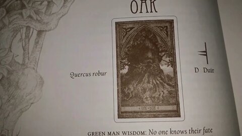 Green Man Tree Oracle