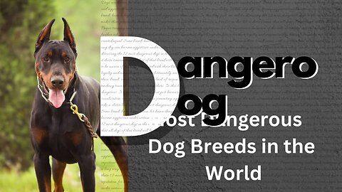Most Dangerous Dog Breeds in the World