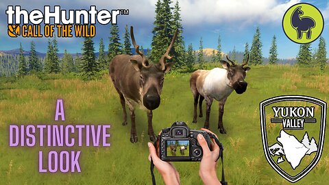A Distinctive Look, Yukon Valley | theHunter: Call of the Wild (PS5 4K)