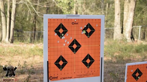 See Better & Shoot More W/Caldwell Ultimate Target Stand
