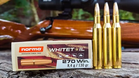 Norma Whitetail .270 Win | 100 Yard Group Test