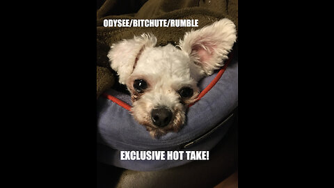 Rumble/Odysee/Bitchute Exclusive Hot Take: Nov 7th 2023 News Blast!