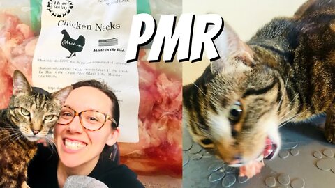 Simple raw cat food chicken recipe (PMR)