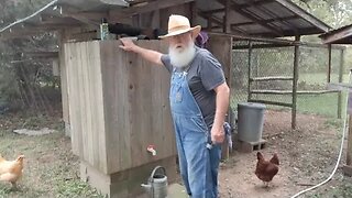 How we take care of our Chickens