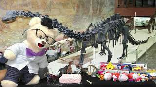 Learn about Fossils with Chumsky Bear | Real Fossil Toy Opening | Educational Videos for Kids