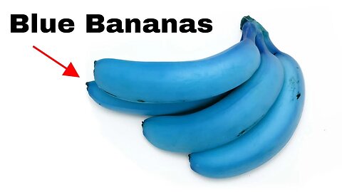 Why Are These Bananas Blue?