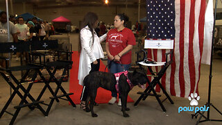 Paw Pals TV: Texas Service K9 Fenixx, was abused by service dog trainer in Louisiana.