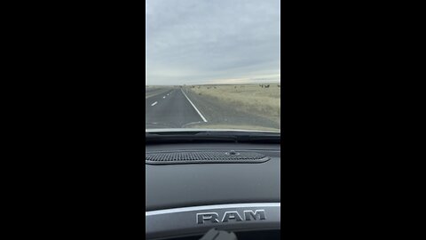 Elk herd at Hanford