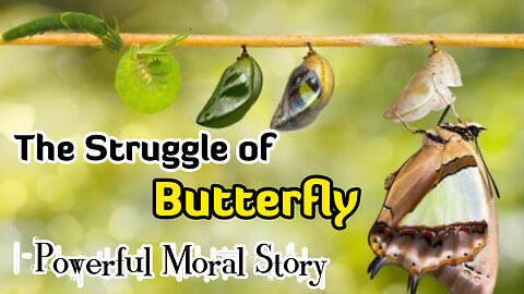The Butterfly Story Powerful Moral Story