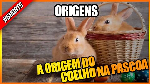 A Origem do Coelho na Páscoa #shorts #historia #curiosidades #pascoa #ovosdepascoa #origem #viral