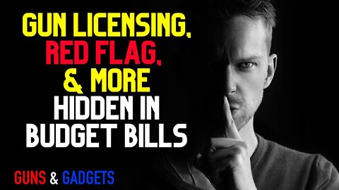 Gun Licensing, Red Flag, & MORE Hidden in Budget Bills