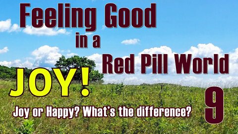 Feeling Good in a Red Pill World #9 JOY!