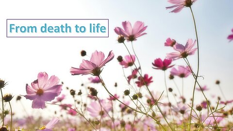 Sermon Only | From death to life | May 19, 2024