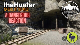 The Hunter: Call of the Wild, A Dangerous Reaction, Silver Ridge Peaks (PS5 4K)