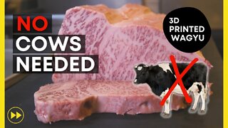 World's First 3D-Printed Beef (Wagyu)