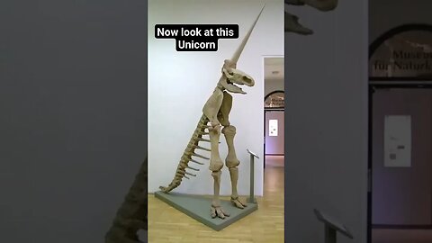 Unicorns are real