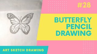 Butterfly Pencil Drawing for Beginners l How to Draw Butterfly #butterflydrawing #easydrawing