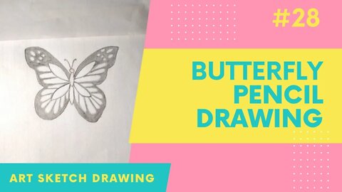 Butterfly Pencil Drawing for Beginners l How to Draw Butterfly #butterflydrawing #easydrawing