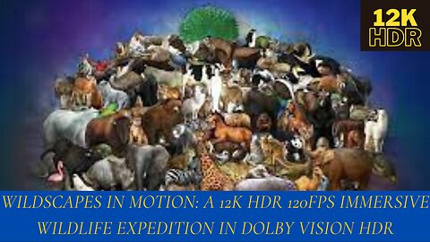 Wildscapes in Motion: A 12k HDR 120fps Immersive Wildlife Expedition in Dolby Vision HDR
