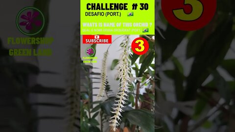 CHALLENGE # 30 |WHATS IS NAME OF THIS ORCHIDS?|YOU WANT TO LEARN? |# SHORT