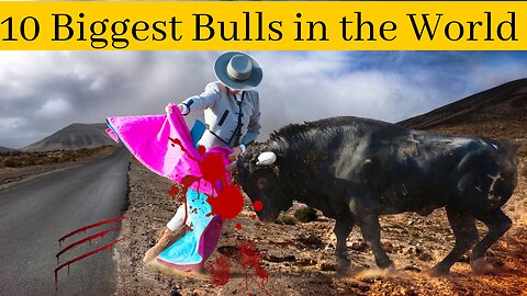 Top 10 Biggest Bulls in the World