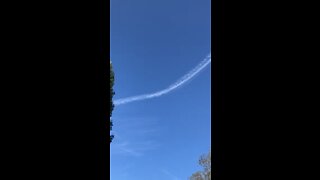 Contrails or?