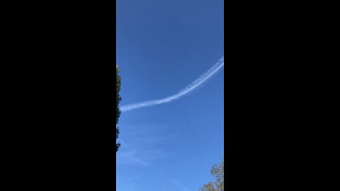 Contrails or?