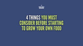 4 things you must consider before starting to grow your own food