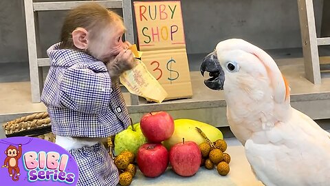 BiBi helps Daddy feed the little parrots. ◈