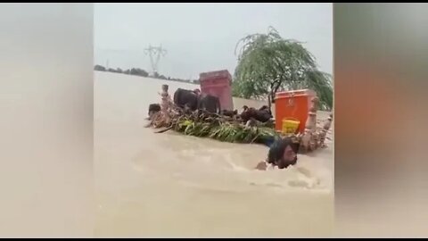قدرتی آفات سے پاکستانی بے سہارا غریب عوام مصیبتوں میں مر رہی ہے II Allah madad Kr Sub Ki