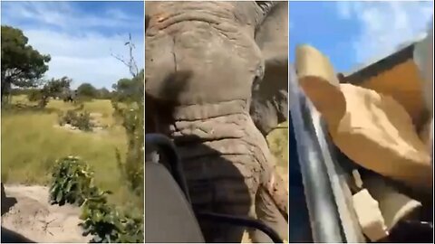 Elefanti sulmin makinën me 6 turistë në bord, një grua humb jetën! Shikoni videon