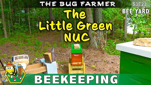 The Little Green NUC - The bad luck blue NUC has been retired.