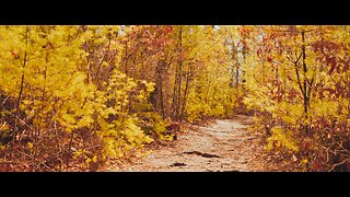 Trail walk with Canon R3 & 7Artisans 50mm spectrum lens