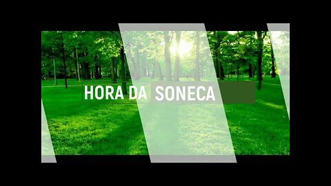 Música Relaxante com Flauta Indígena e Sons da Natureza 🍃😴 Acalmar a Mente e Relaxar