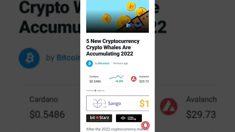 Cryptocurrency: 5 New Cryptocurrency Crypto Whales Are Accumulating 2022